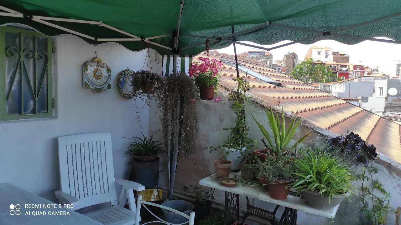 Vacanzella Catania Apartment